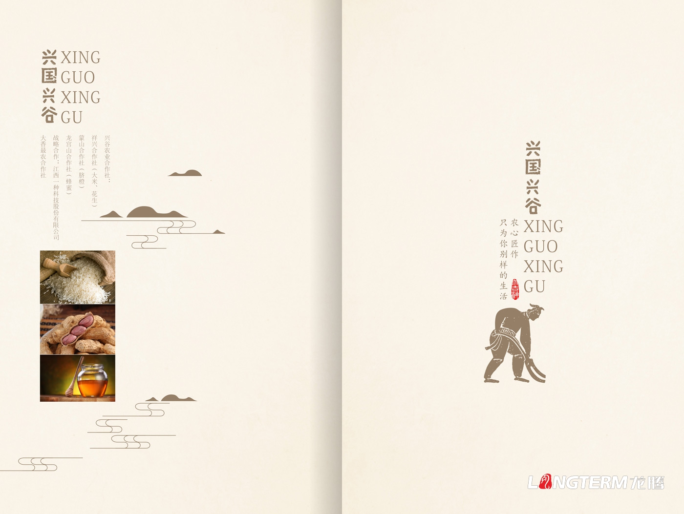 興國(guó)興谷電子畫冊(cè)設(shè)計(jì)